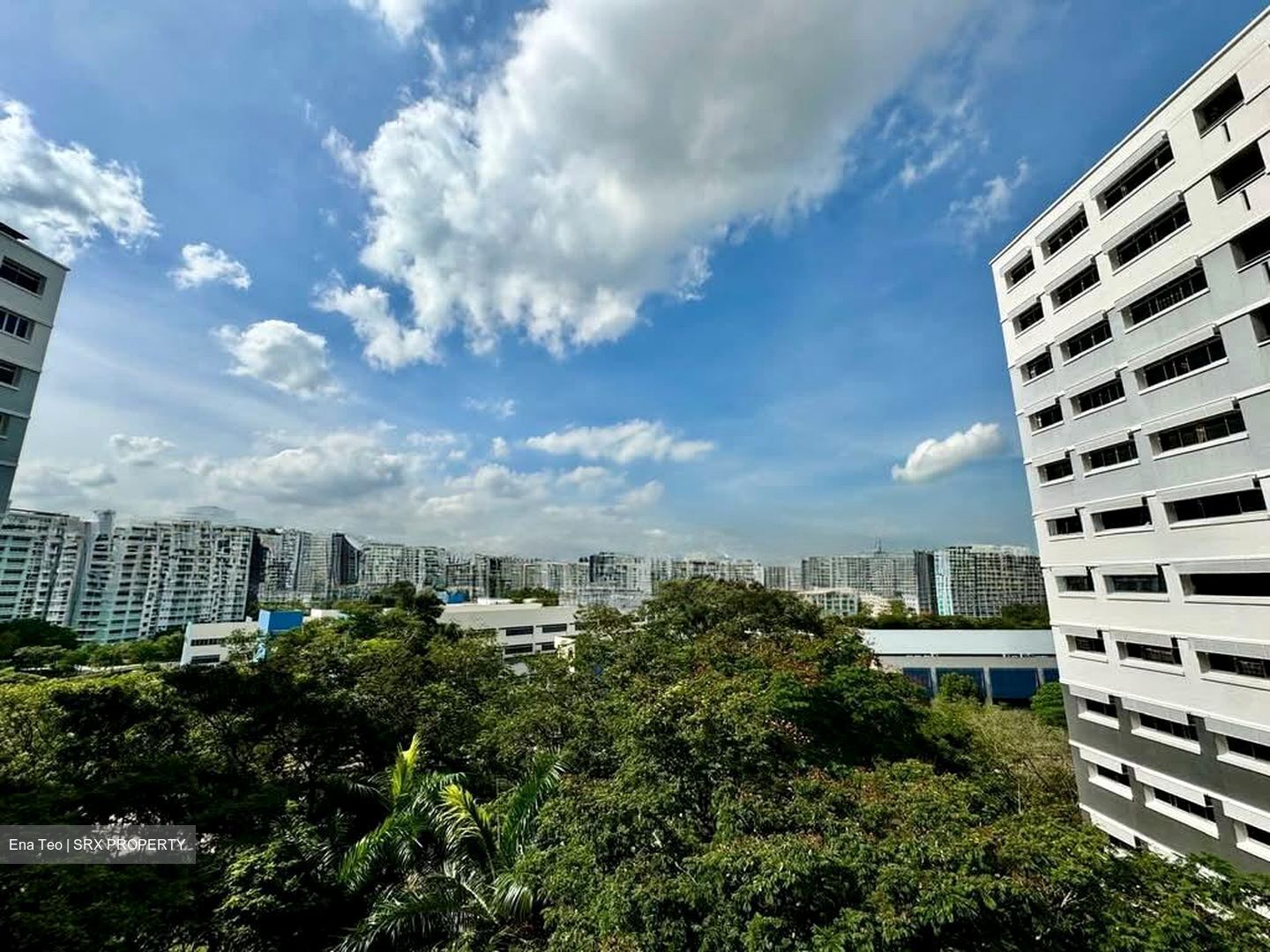 Pasir Ris Street 71 (Pasir Ris), HDB 3 Rooms #568901521